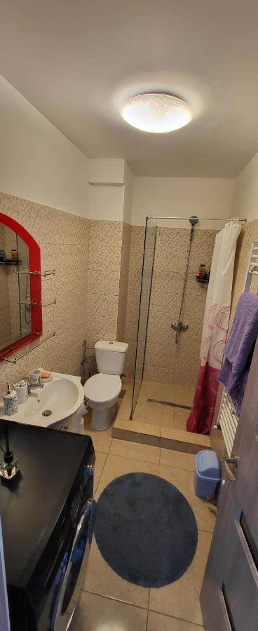 Self Check-In Studio 22 Bulevardul Oltenia كرايوفا المظهر الخارجي الصورة